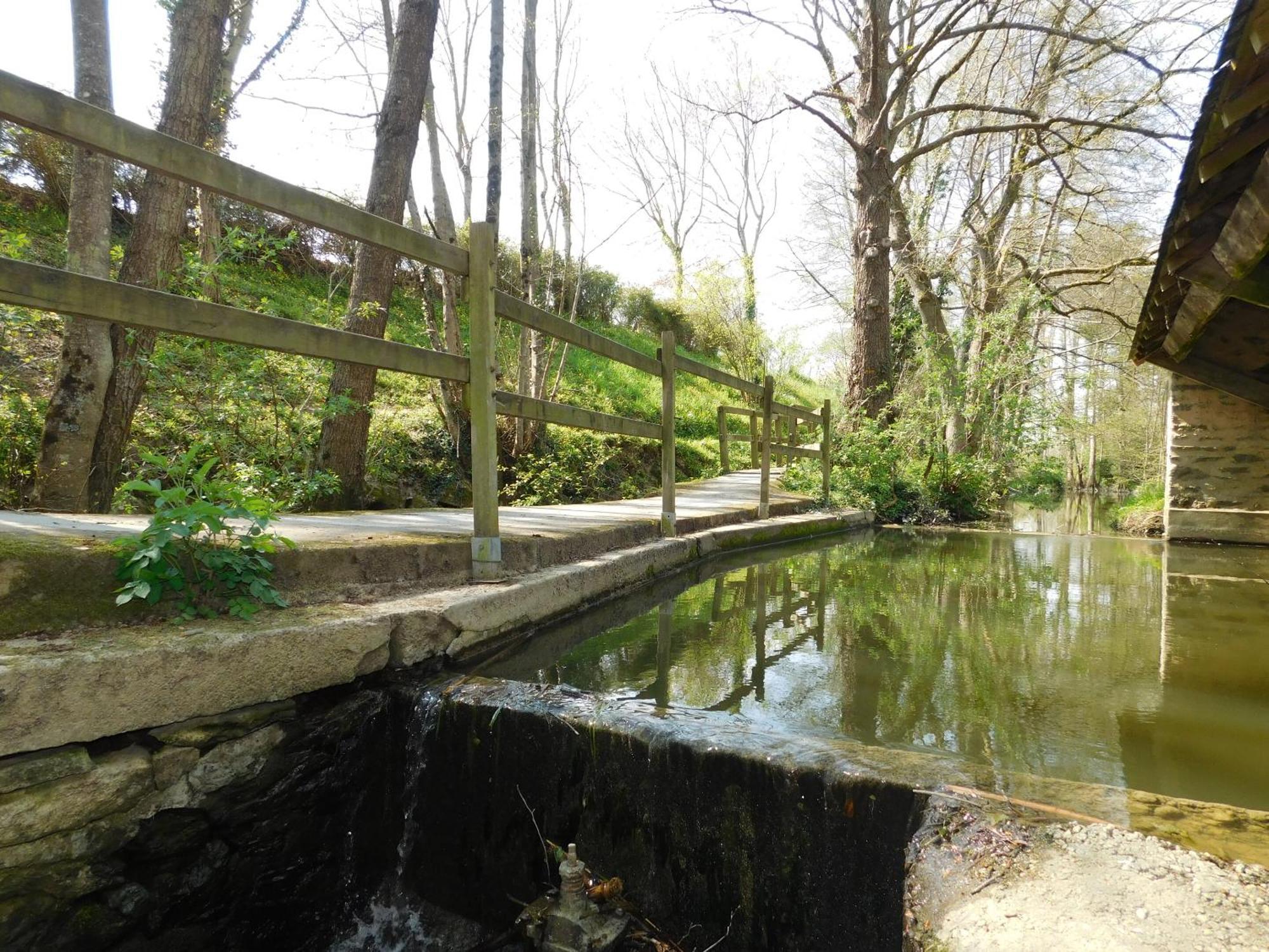 Village De Gites De La Chesnaie Saint-Denis-du-Maine 部屋 写真